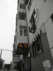 鲍鱼