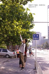 叶子