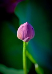 IMG_8656.jpg