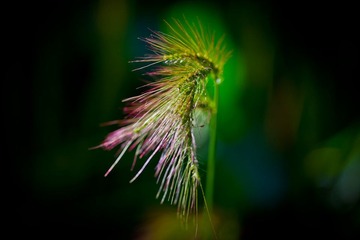 IMG_8666.jpg