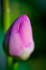 IMG_8722.jpg