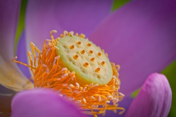 IMG_8729.jpg