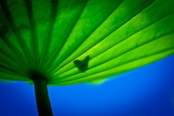 IMG_8734.jpg
