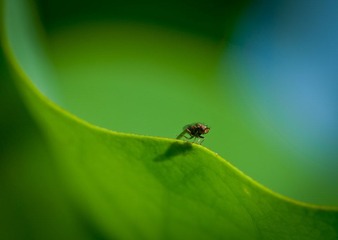 IMG_8737.jpg