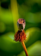 IMG_8750.jpg
