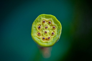 IMG_8753.jpg