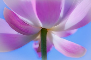 IMG_8800.jpg