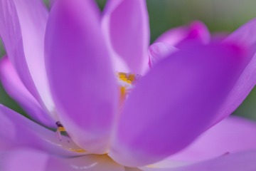 IMG_8803.jpg