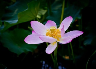 IMG_8852.jpg