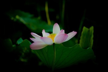 IMG_8864.jpg