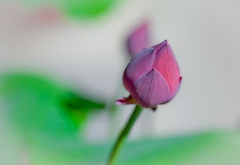 IMG_8874.jpg
