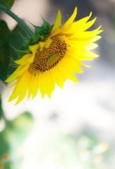 IMG_3320.jpg
