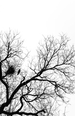 IMG_5846-2.jpg