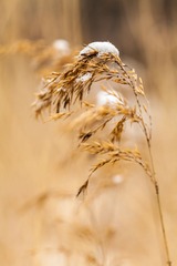 IMG_5878-2.jpg