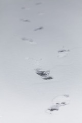 IMG_5882-2.jpg