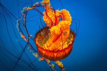 IMG_6210-2.jpg