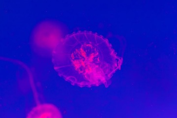 IMG_6180.jpg