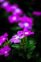 IMG_7540-2.jpg