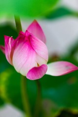IMG_7563-2.jpg