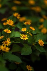 IMG_7494-2.jpg