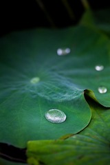 IMG_7576-2.jpg