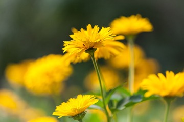 IMG_7516-2.jpg
