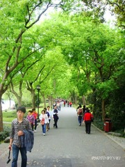 DSC00807_