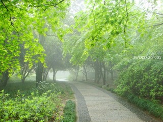 灵隐寺