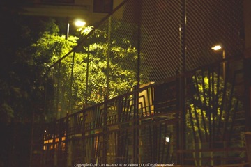 2012.07.11-灯下翠绿.jpg