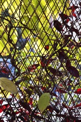_DSC0216.JPG