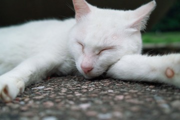 SDIM4626.jpg