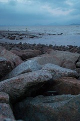 SDIM4730.jpg
