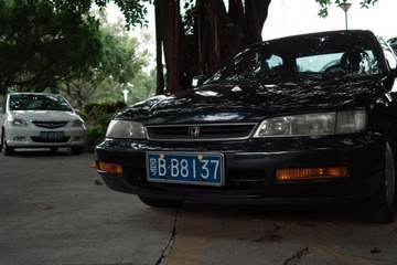 SDIM4795.jpg