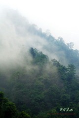 IMG_9395a
