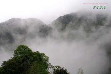 IMG_9416a