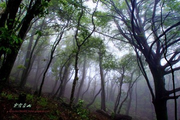IMG_9497a