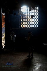 IMG_5068.jpg