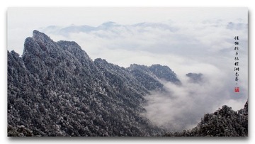 衡、莽 (3).jpg