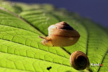 IMG_2757a.jpg