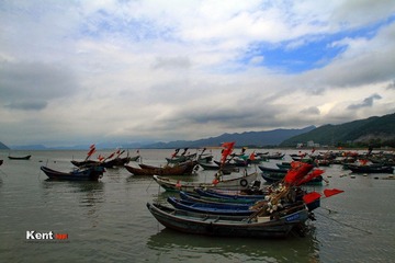 IMG_3667a.jpg