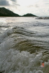 IMG_9044a.jpg