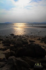 IMG_8972a.JPG