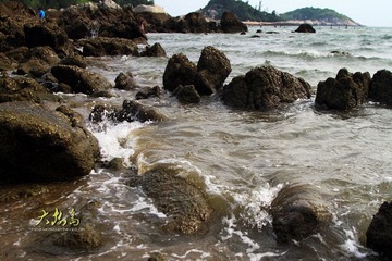 IMG_8686a.JPG