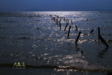 IMG_8724a.JPG