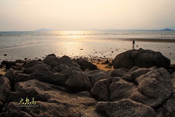 IMG_8961a.JPG