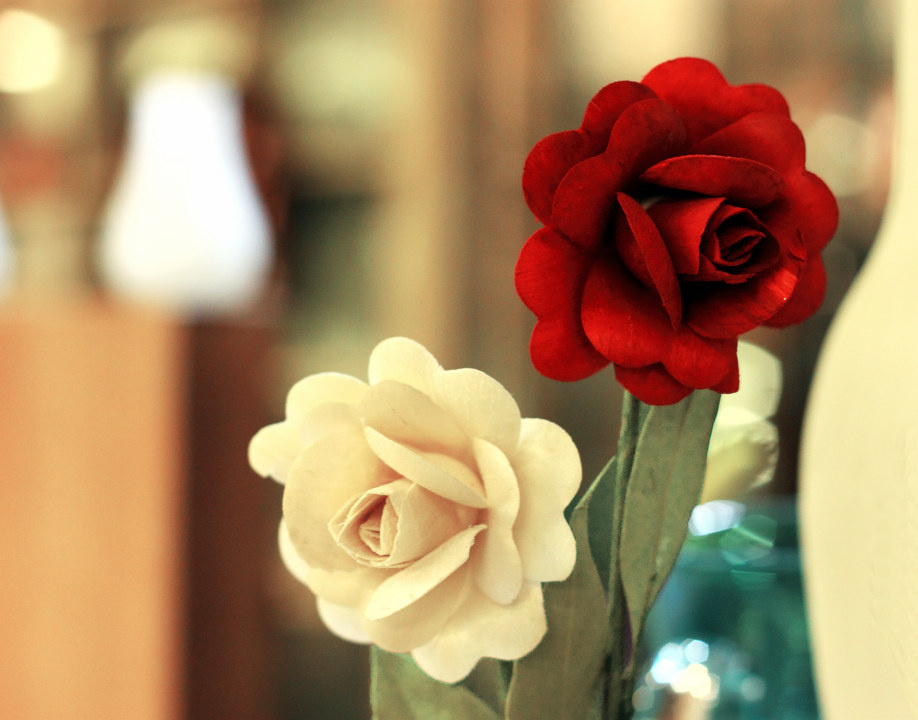 红玫瑰与白玫瑰