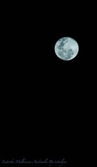 DSC02459.jpg