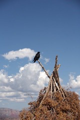 IMG_7850.JPG