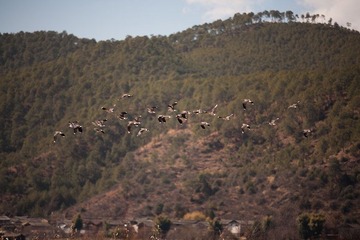 _MG_5087.jpg