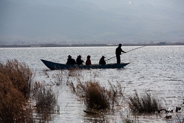 _MG_5001.jpg